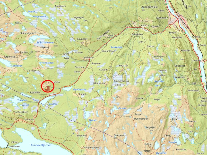 1. INNLEDNING Asplan Viak AS er engasjert av Leif A. Lie til å gjennomføre et reguleringsplanarbeid på Lyseren i Nes kommune.