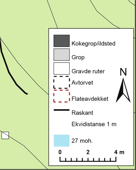 Local topography and plan of