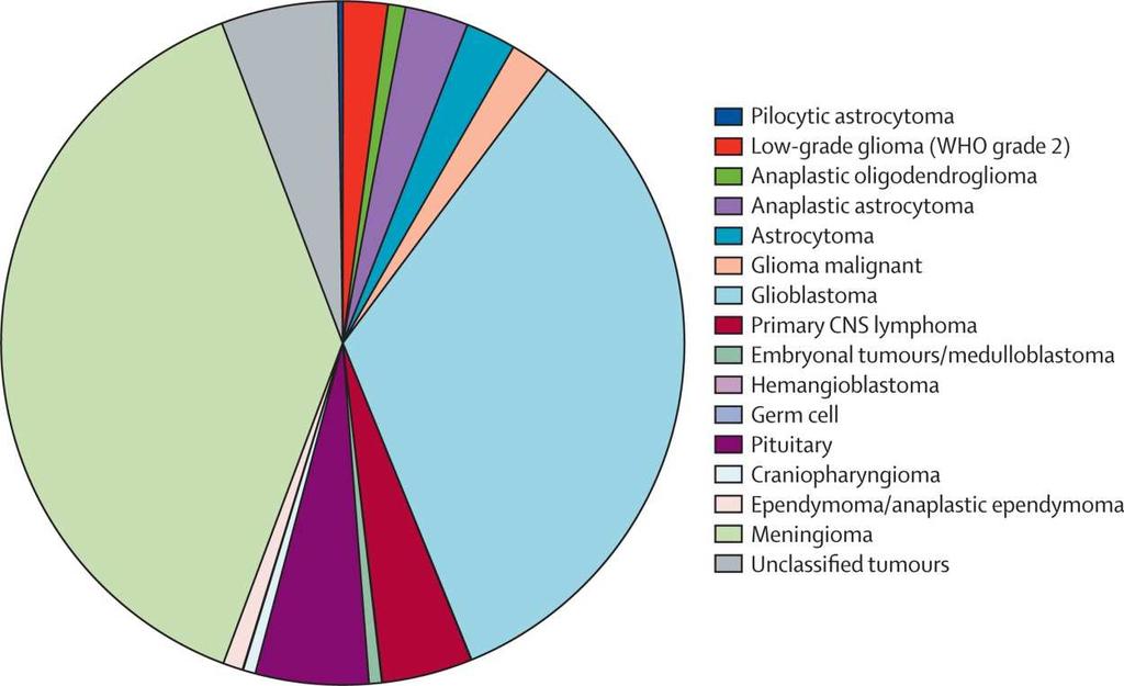 typer) - 250 høygradig maligne gliomer
