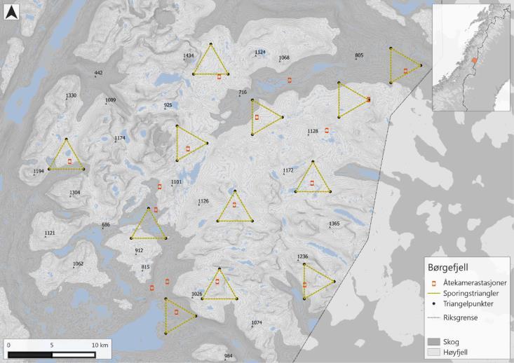 smågnagere (samt transekter for