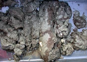 På overflaten av sedimentet sees det et mykere brunt organisk lag over en fastere grå såle. Nede t.h. Stasjon C2A.