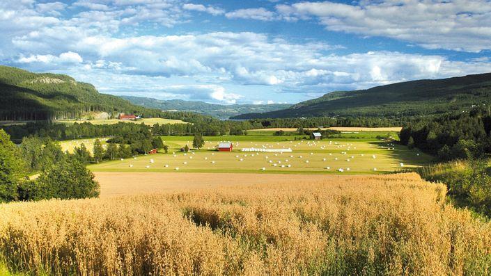 Plan- og bygningsloven determinerer sjelden