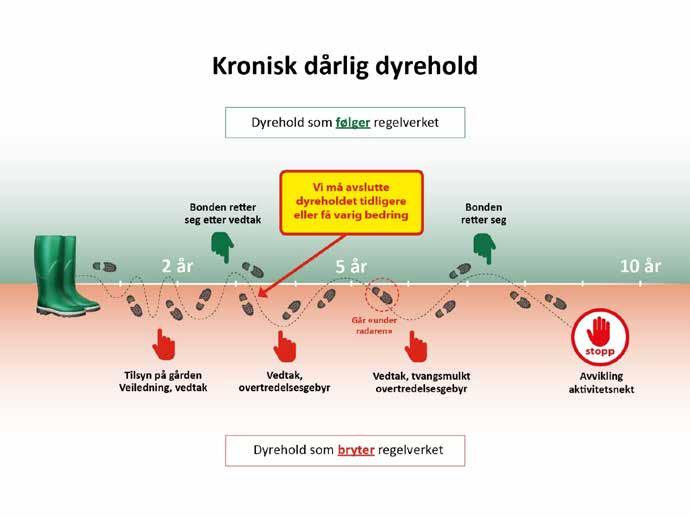 Bildet viser en tidslinje for et kronisk dårlig.