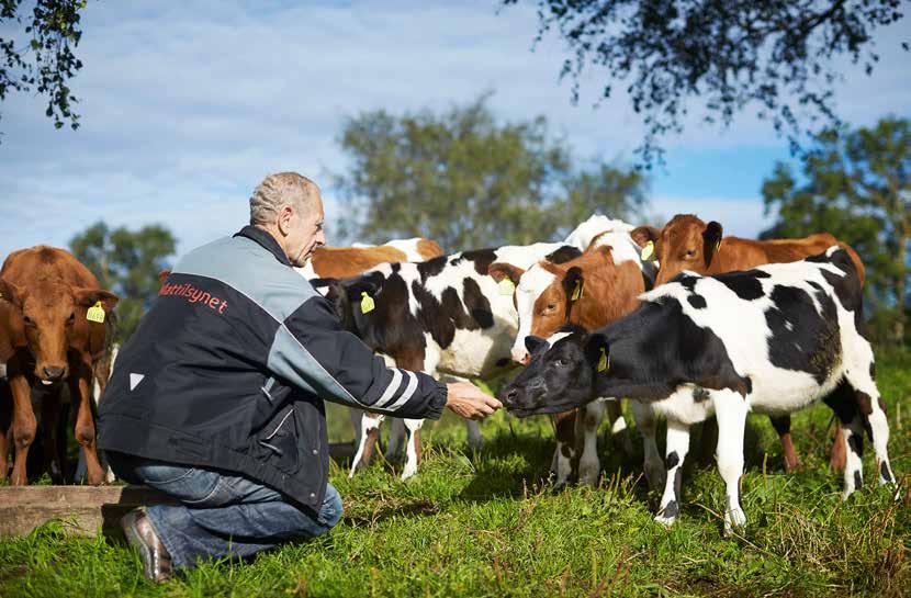 på å håndtere et i krise og må kanskje ha med seg både kolleger og politi.