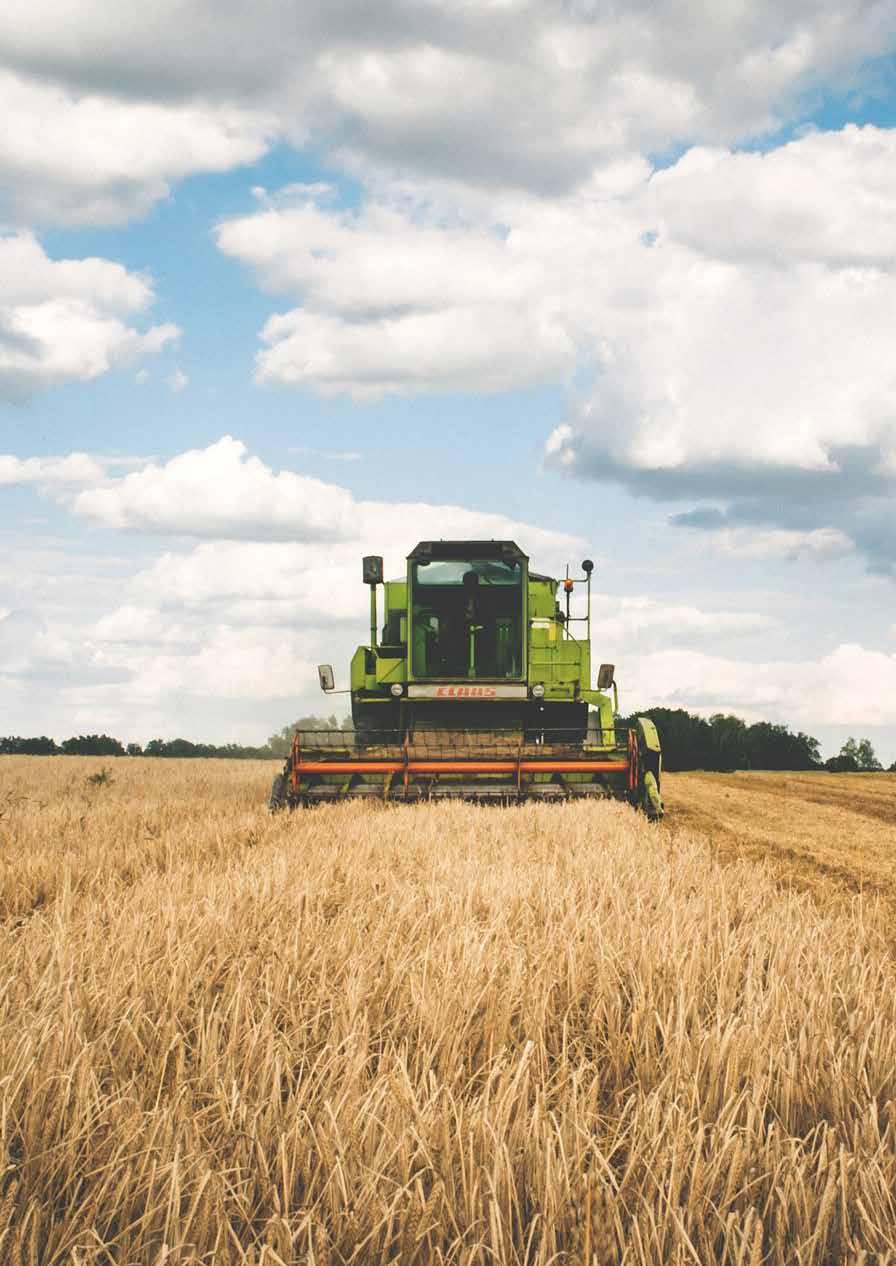 /11 Landbruk, natur og friluftsliv Kongsvinger kommune er en landbrukskommune med produktive jord- og skogbruksarealer.