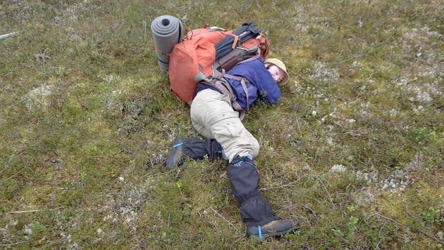 Turister og bærekraft Inntekter Mengde x pris = omsetning