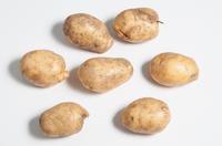 Ingeleivseple Avling fra tre miniknoller av Ingeleivseple, dyrket i Surnadal sommeren 2013, tilsammen 90 nye poteter med stort og smått!