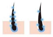 Ved kaldtørking opprettholdes fuktigheten inne i håret og skader forårsaket av varme