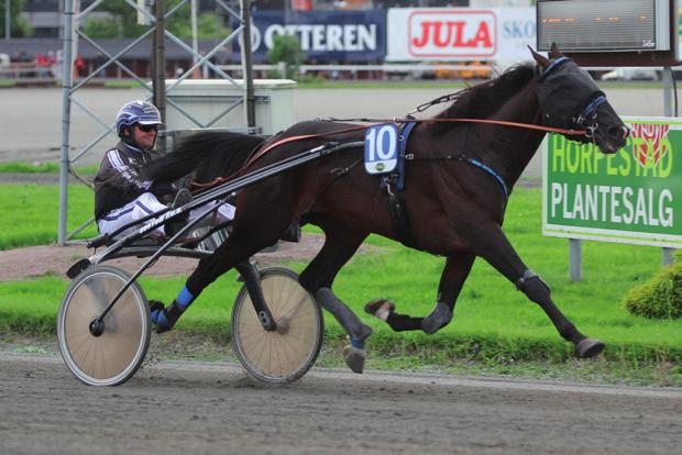 000 Rune Wiig 4 Showtimesun 0 7,a 8.000 Pål Buer 0 Helmax Mix 0 7,8a 5.000 Tom Erga 4 Lady Revenue 0 9,a 4.000 Ove Wassberg 65 5 Belle Titan 0 9,a.