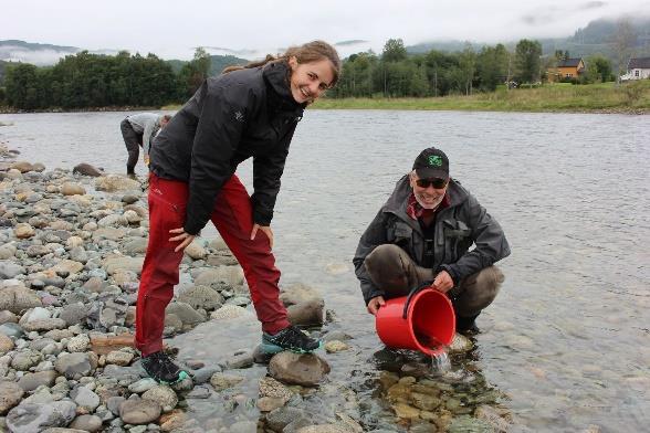 Bilde: Flytting av fiskeyngel fra Leirbekken.