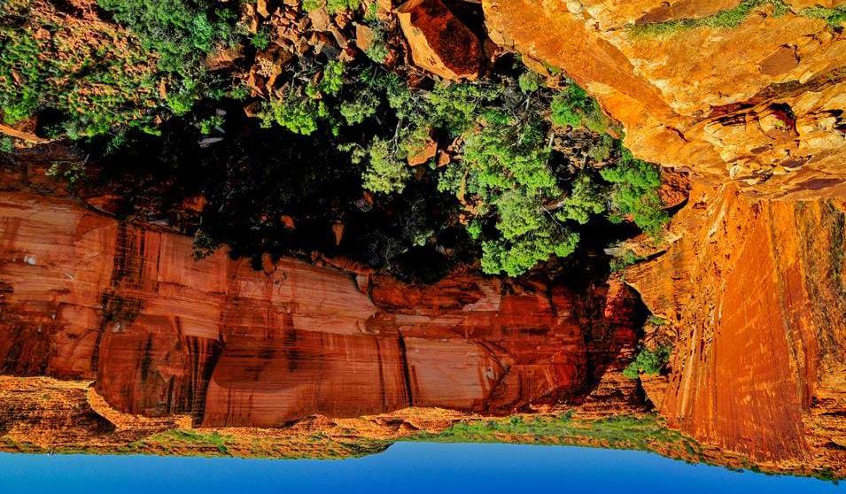 Kings Canyon i outbacken Soloppgang over Uluru/Ayers Rock Aboriginsk kunst ved Mutitjulu Waterhole Standard overnatting: Cairns Colonial Club Resort Superior overnatting: Hilton Cairns Dag 10: Double
