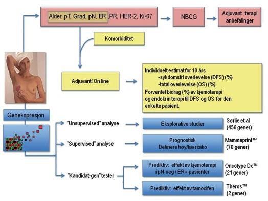 Tema Figur 6. Oversikt over algoritmer, verktøy og molekylærbiologiske tester til hjelp i prognose og prediksjon av brystkreftpasienter.