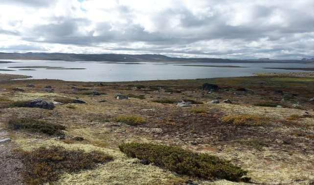 Konsekvensutredning av Regional plan for Hardangervidda