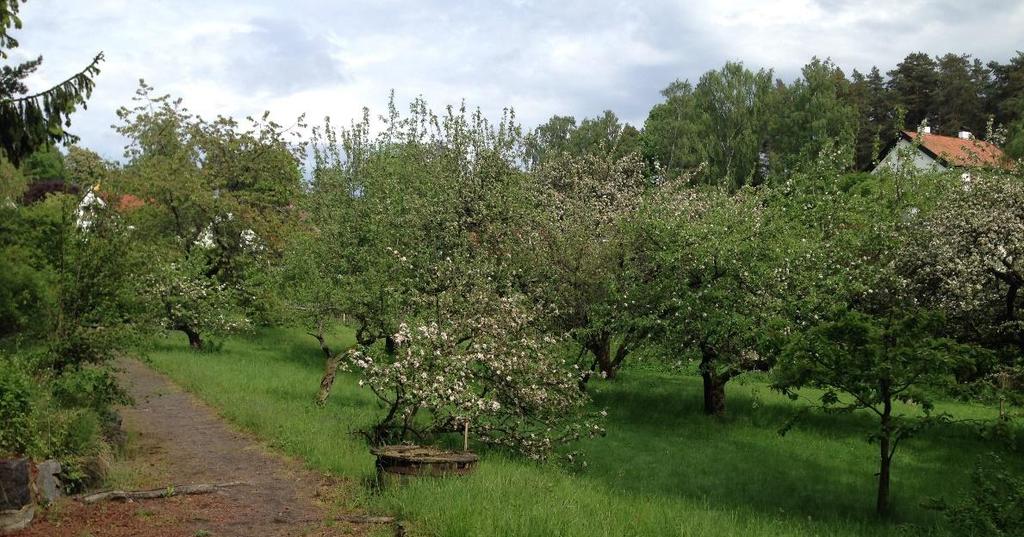 kommune Madlaina Bichsel og