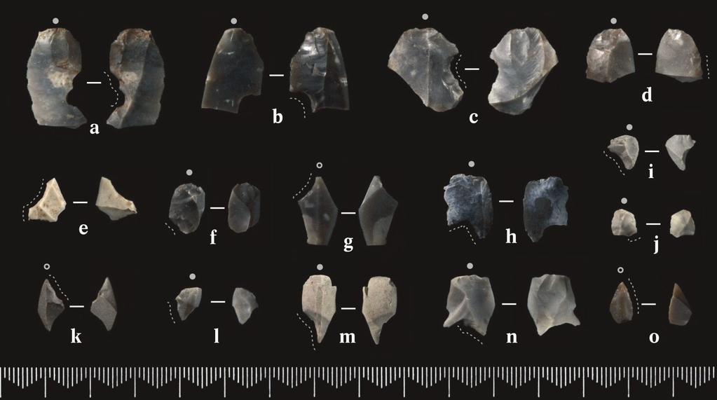 Prosjektiler fra den tidligmesolittiske lokaliteten Pauler 1 i Larvik: a, c og e) Lansettmikrolitter, b)rombisk