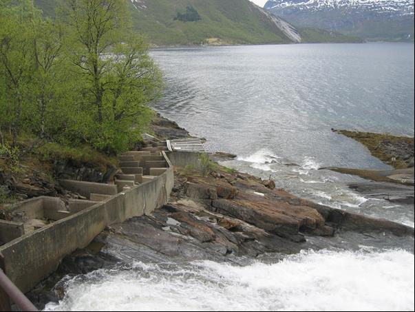 oppdrettslaks i fisketrappa i tidsrommet 1. juli til 20. oktober. I tillegg utførte grunneierlaget et målrettet uttaksfiske i sjøen rett under trappa.