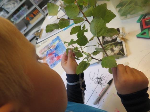 Uteliv og fysisk aktivitet Vi har vært masse ute og sett på insekter og krypdyr og samlet de og tatt de inn i barnehagen for å studere dem.