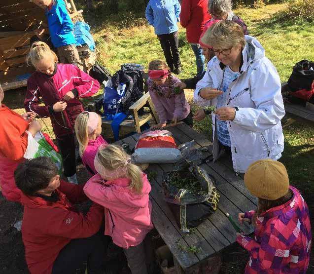 Du finner neppe bedre «aktivitetsdekke» enn på Ilsengstiene.