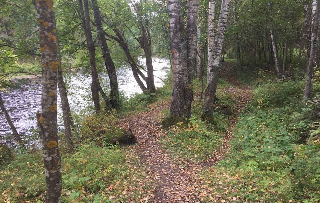 Kombinasjonen av synsinntrykk, lyder og lukter setter oss i nærkontakt med årstider, vær og vind.