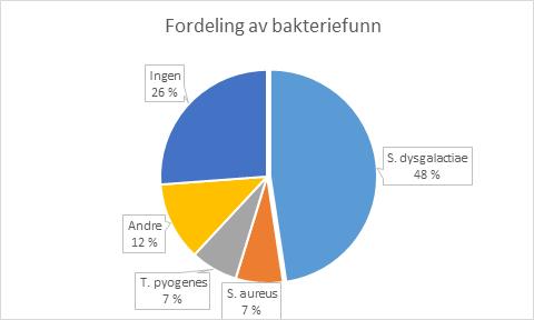 Bakterieprøver og obduksjon 3 For å finne ut hvilke bakterier som kunne være årsak ble det tatt ut prøver til dyrking i laboratoriet.