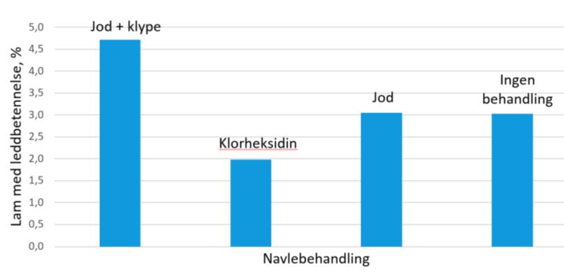 4 gjennomsnittlig immunstoffnivå hos de prøvetatte lammene hadde høy forekomst av leddbetennelse og høyest dødelighet, mens det ikke var utbrudd av leddbetennelse i besetningen med høyest nivå.