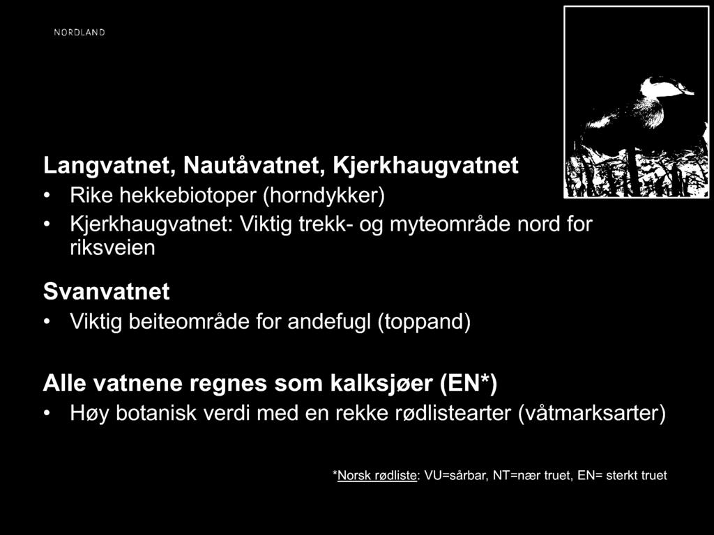 Spesielt for Nautå NR Langvatnet, Nautåvatnet, Kjerkhaugvatnet Rike hekkebiotoper (horndykker) Kjerkhaugvatnet: Viktig trekk- og myteområde nord for riksveien Svanvatnet Viktig beiteområde for