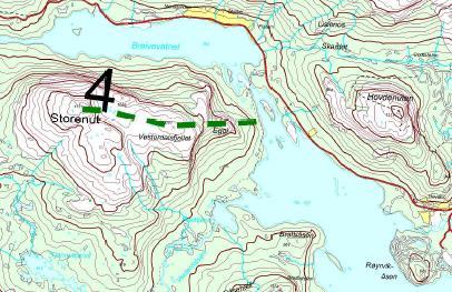 4. Storenut/vesterdalen Lengde: ca 1,9 km Løypa går fra Kanalen (760 moh) gjennom bjørkeskogbelte opp til høgfjellsterreng på toppen av Storenut (1171 moh) Tilhøva til strategi for framtidig