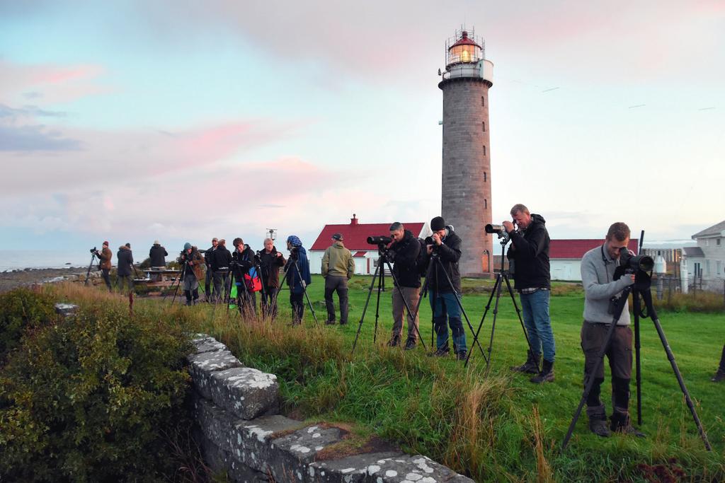 Hovedmål 3 NOF skal være en sterk og attraktiv organisasjon med mange og aktive medlemmer Fuglekikkere ved Lista Fyr. Foto: Jan Erik Røer.