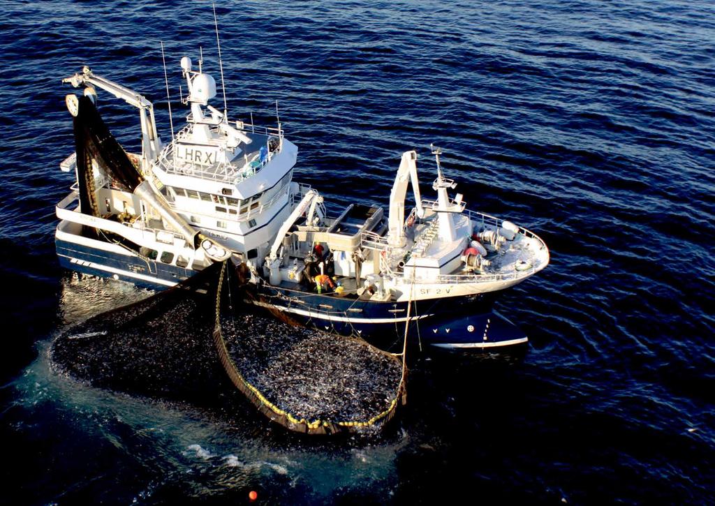 FISKEREDSKAP OG UTSTYR / FISHING GEAR AND EQUIPMENTS SNURPENOT / PURSE SEINE S. 4 BUNNTRÅL / BOTTOM TRAWL S. 7 REKE TRÅL / SHRIMP TRAWL S. 14 PELAGISK TRÅL / PELAGIC TRAWL S.