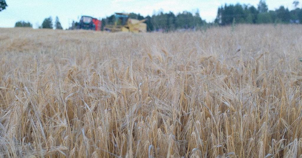 I denne rapporten går vi nærmere inn på de samfunnsøkonomiske konsekvensene av situasjonen i norsk