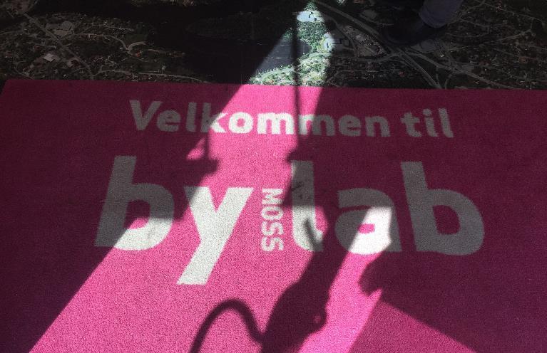 kommunen. Viktigste suksessfaktor er at det er fagpersoner tilstede slik at publikum får god informasjon. Hvorfor ByLAB Moss?