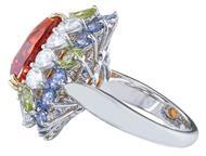 12 (73) Innehaver: HARRY WINSTON SA, Chemin