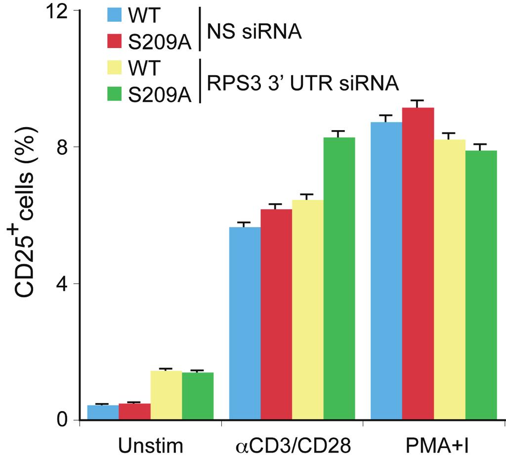 Supplementary Fig. 11 The S209A mutation of RPS3 does not attenuate the T cell receptor engagement-induced CD25 expression in Jurkat cells.