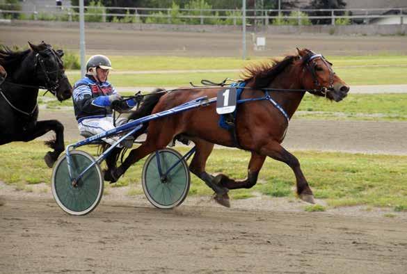 9 10 2016: 0-0 -0-0 -0-0 2015: 8-0 -0-1 -0-26.9v -5.000 Tangen Tinn 2 24,8m 24,8ak 695.170 10 år Brun V v. Moe Odin e. Tangen Kry v.