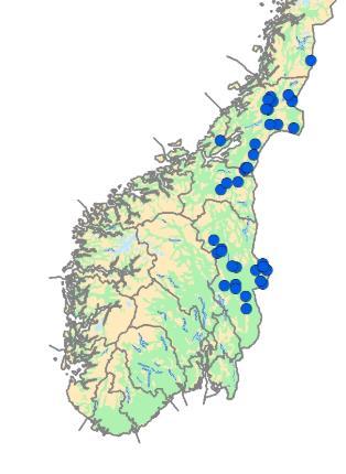 registrert døde i Hedmark i samme periode (felt under skadefelling er angitt i parentes).