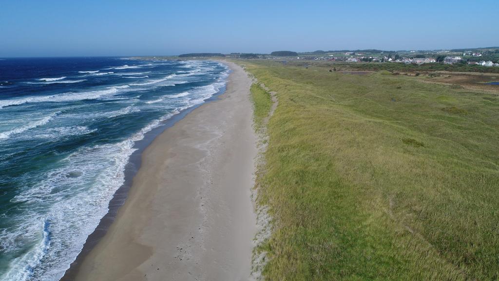 Sanddynekyst som eksempel Naturverdier: Regionalt, nasjonalt og internasjonalt sjeldne arter Sanddynemark sårbar naturtype, sjelden i Norge,