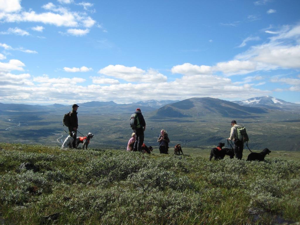 STATSKOG SF OG FUGLEHUNDKLUBBENS FORBUND () DRIFTSPLAN FOR: KONGSVOLL/HJERKINN TERRENGENE i Oppdal og