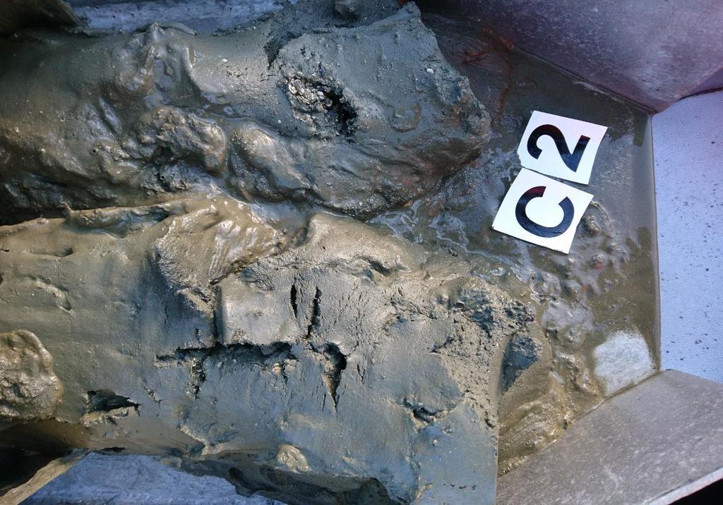 rapport i Vedlegg A). Foto: Aqua Kompetanse AS. Figur 7: Bilde av sedimentet ved C2.
