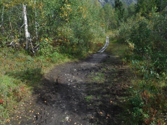 1 Aktivitet og utfordringar Stien opp mot Kvitevardane i Bøyadalen vart i år rydda av folk frå Fjærland, med økonomisk bidrag frå nasjonalparkstyret, og det