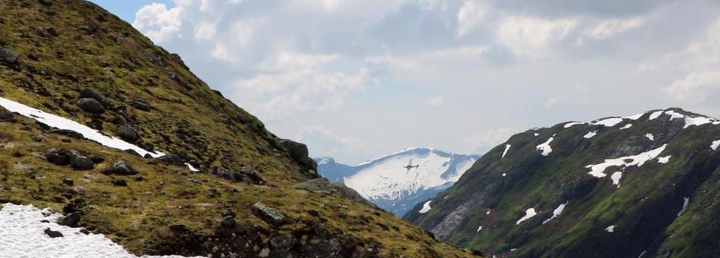 Årsrapport for 2018 frå SNO til Jostedalsbreen nasjonalparkstyre M-1150 Lågtflyging i nasjonalparken ved Flatbrehytta vart anmeldt SNO har møtt på ein handfull tal personar som har floge med drone i
