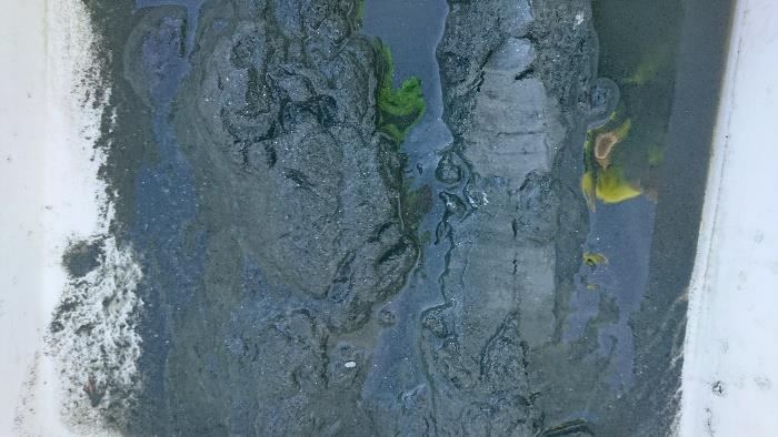 Figur B-10: Bilder som viser sedimentet fra
