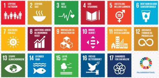 FNs bærekraftmål hva betyr dette