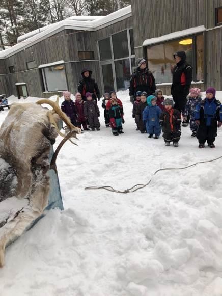 frem rundt i skogen og til slutt tilbake til barnehagen.