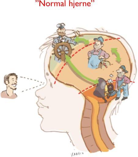 Hjernen utvikler seg i samspill Kontakt mellom etasjene Brudd i kontakten