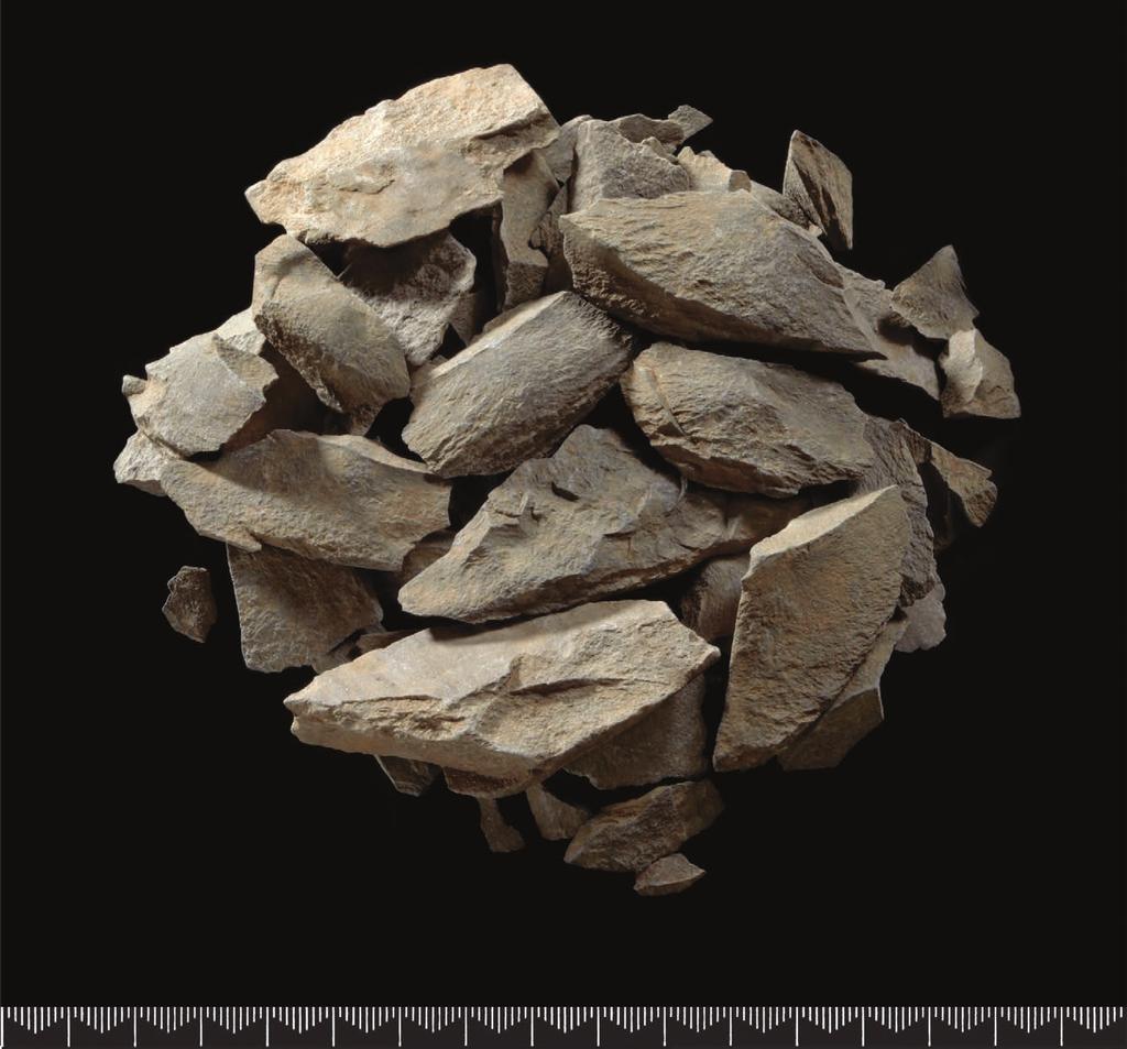 2. gunnarsrød 10 25 Figur 2.6. Avslagsmateriale av bergart. Legg merke til hengselavslagene. Foto: Ellen C. Holte, KHM. Figure 2.6. Stone-axe production waste. Note the hinged flakes.