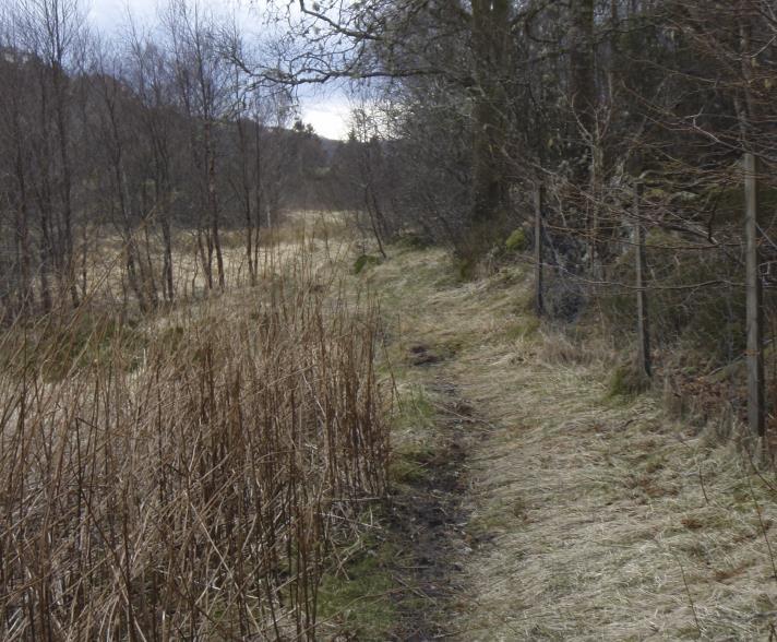 turveinett eller større turområder. Også Myravika, som er del av et registrert friluftsområde, fremstår som forholdsvis utilgjengelig fra land.