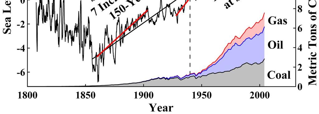 Havnivåøkning Økningen ligger ca 20 år etter