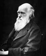 Darwin Father of evolution Author of Origin of the species