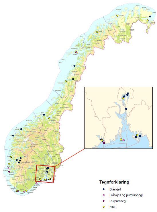 1. MILKYS 2017-2020 Alle stasjoner Opsjon 1 sediment (0-2cm) Analyse-sett: 4512 (med alle opsjoner 5411)