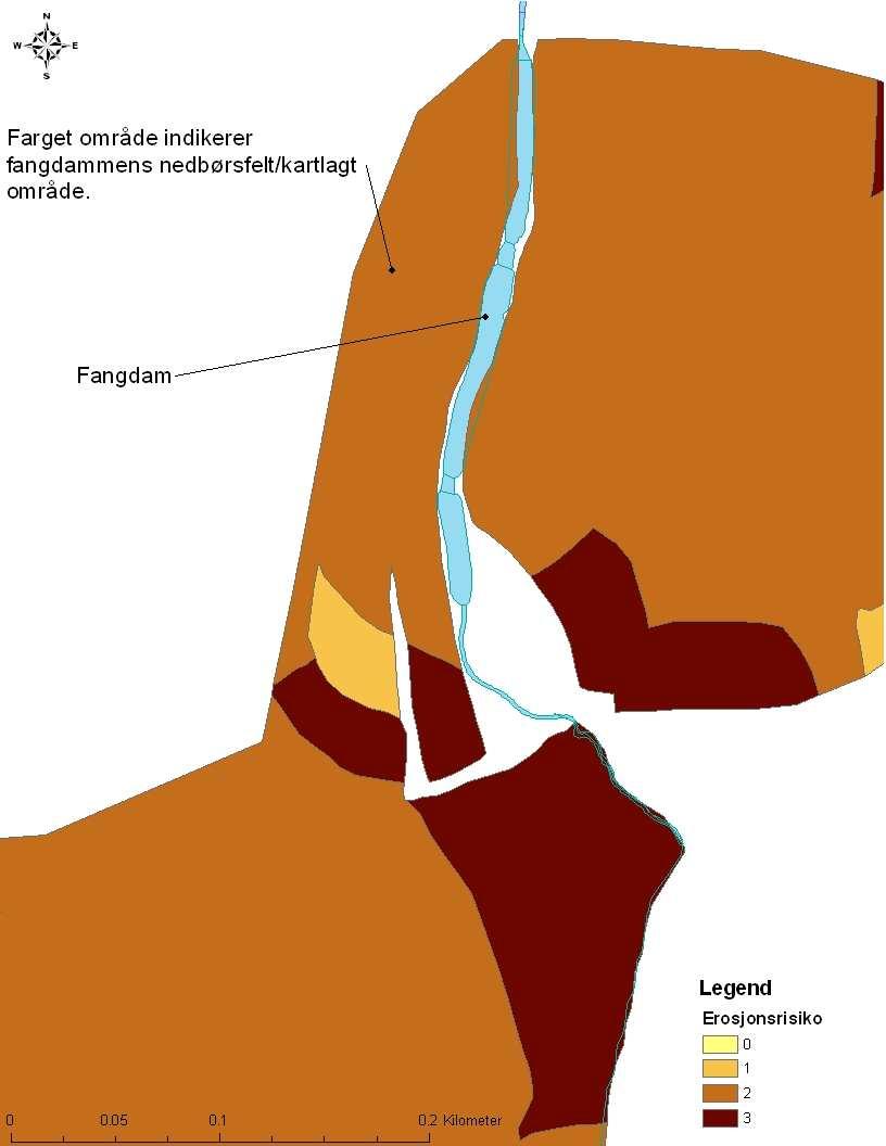 Størrelse avhenger av